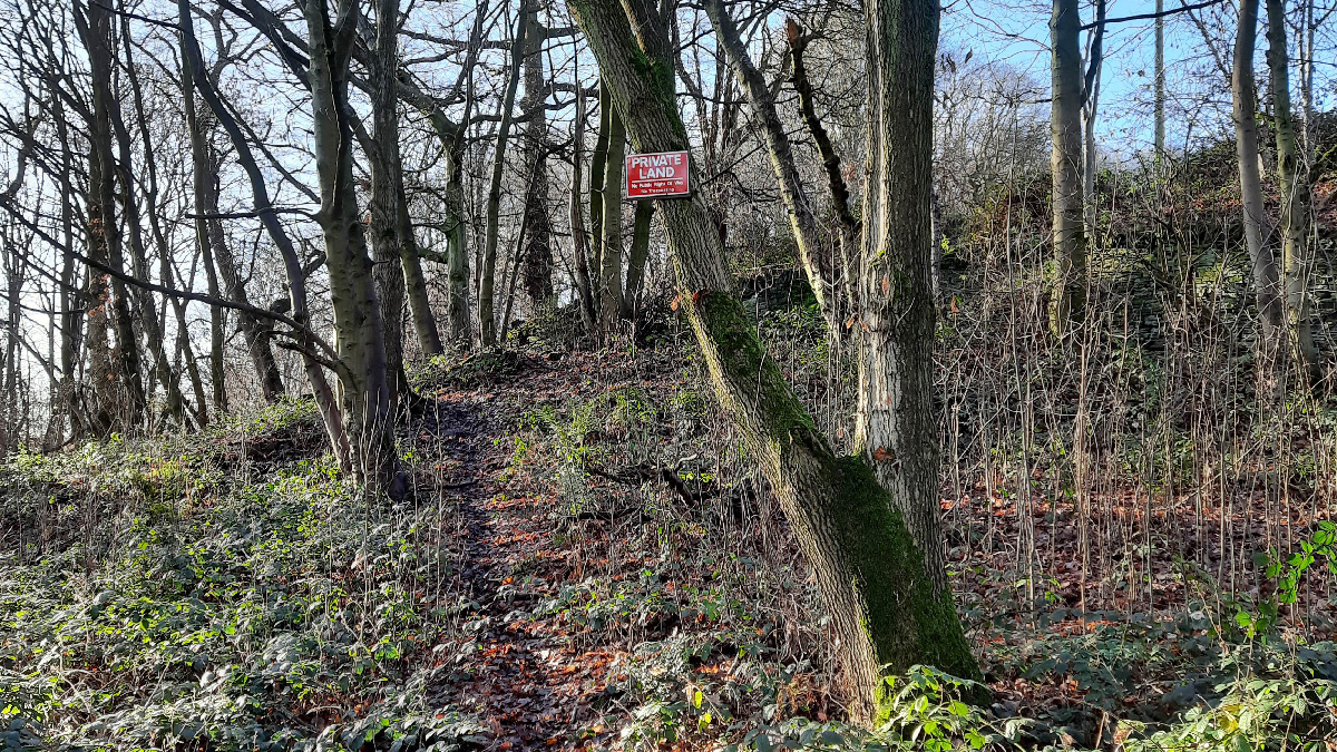 Image of private woodland