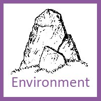 Environment
