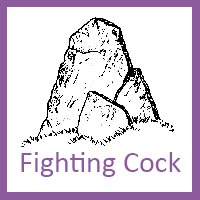 Fighting Cock Press