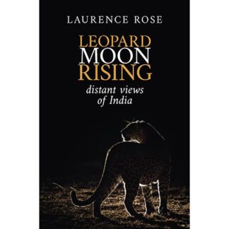 Leopard Moon Rising by Laurence Rose