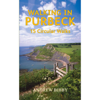 Image of Purbeck coastline - with a stile on a grassy headland distant white chalk cliffs and sea below